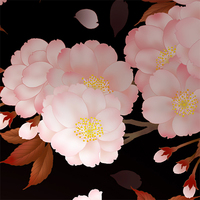 夜桜・アンティークランプと八重桜
