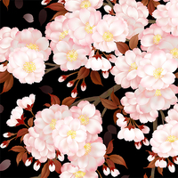 夜桜 八重桜 イラスト 和風デザイン 和柄素材なら Wagara Design Navi