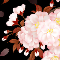 夜桜 八重桜 イラスト 和風デザイン 和柄素材なら Wagara Design Navi