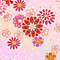 菊と桜散らしピンク