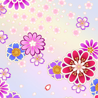 菊と桜散らし水色
