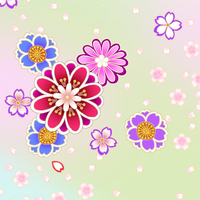 菊と桜散らし水色