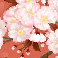 八重桜・柿色