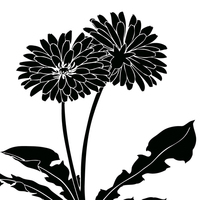 蒲公英 たんぽぽ とヒナソウ シルエット 和風デザイン 和柄素材なら Wagara Design Navi