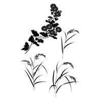 菊と稲