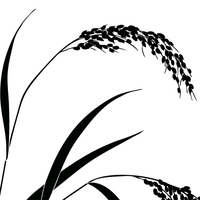 美しい花の画像 綺麗な稲穂 イラスト シルエット