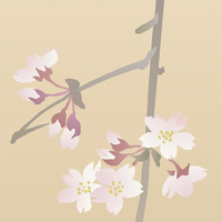 椿桜図 | 和風デザイン・和柄素材なら Wagara Design Navi