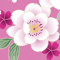 八重桜 | 和風デザイン・和柄素材なら Wagara Design Navi