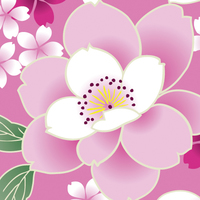八重桜 | 和風デザイン・和柄素材なら Wagara Design Navi